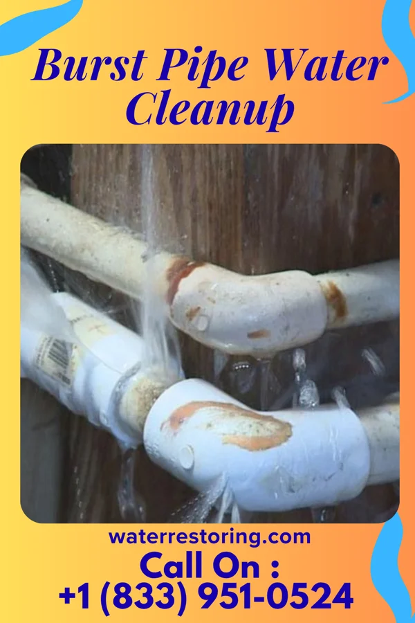 Burst Pipe Water Cleanup in St. Lawrence, PA
