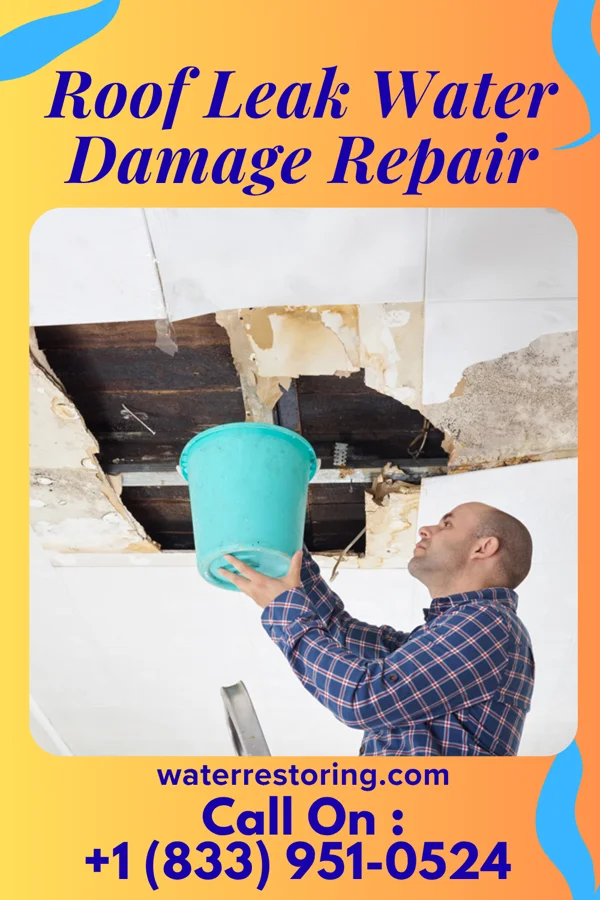 Roof Leak Water Damage Repair in St. Lawrence, PA